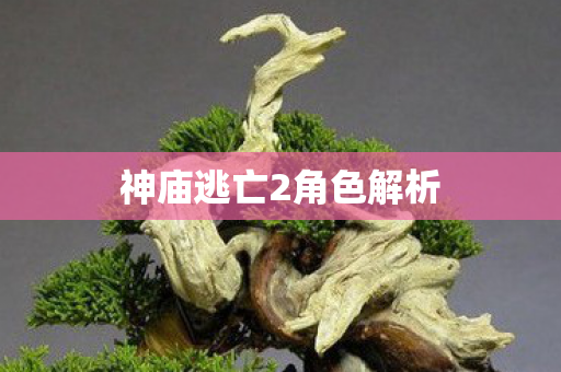 神庙逃亡2角色解析