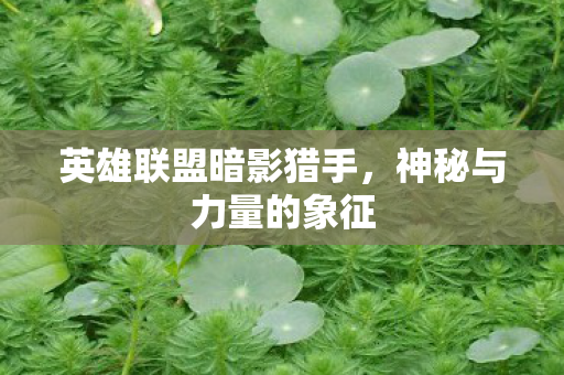 英雄联盟暗影猎手，神秘与力量的象征