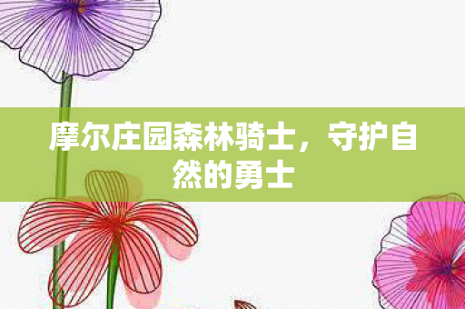 摩尔庄园森林骑士，守护自然的勇士