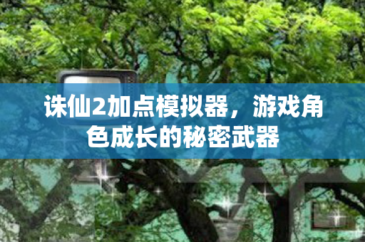诛仙2加点模拟器，游戏角色成长的秘密武器