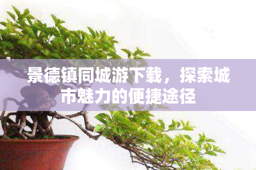 景德镇同城游下载，探索城市魅力的便捷途径