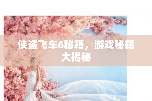 侠盗飞车6秘籍，游戏秘籍大揭秘