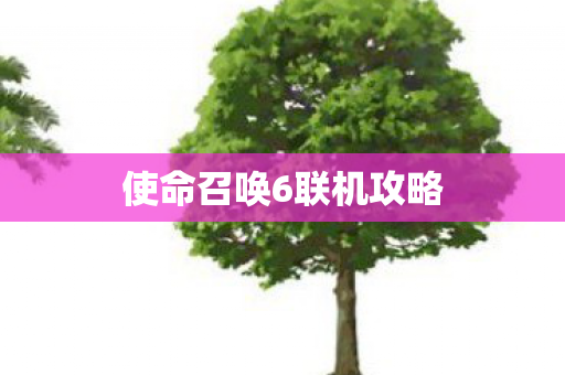 使命召唤6联机攻略