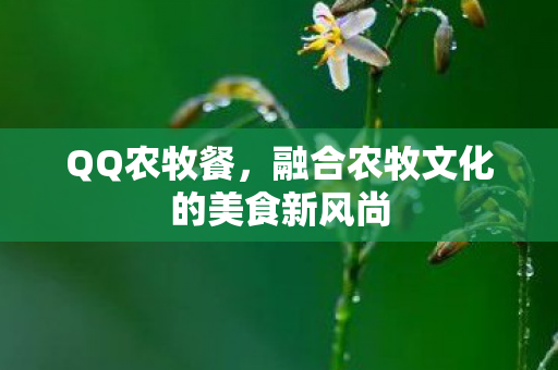 QQ农牧餐，融合农牧文化的美食新风尚