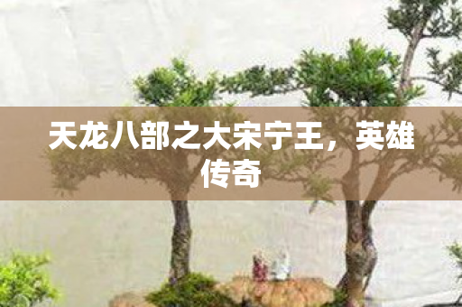 天龙八部之大宋宁王，英雄传奇