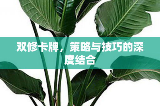 双修卡牌，策略与技巧的深度结合