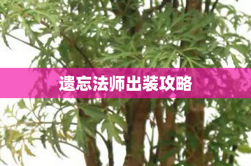 遗忘法师出装攻略