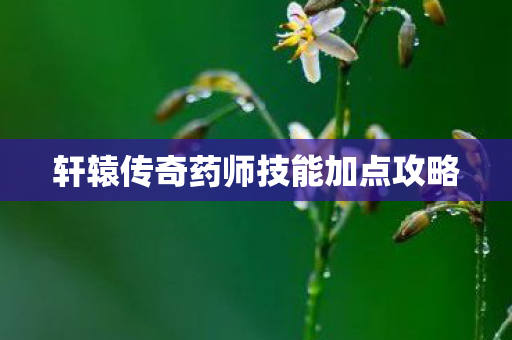 轩辕传奇药师技能加点攻略