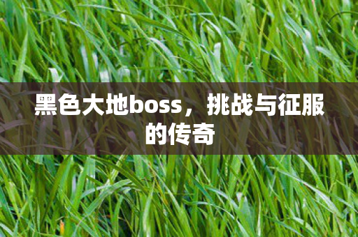 黑色大地boss，挑战与征服的传奇