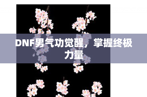 DNF男气功觉醒，掌握终极力量