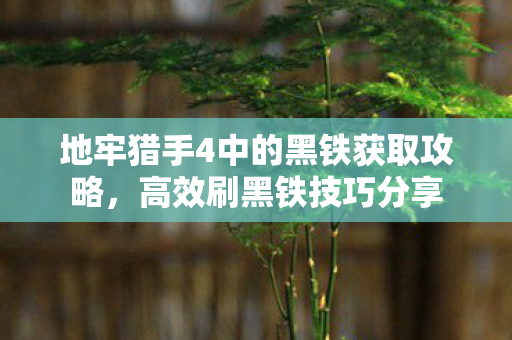 地牢猎手4中的黑铁获取攻略，高效刷黑铁技巧分享