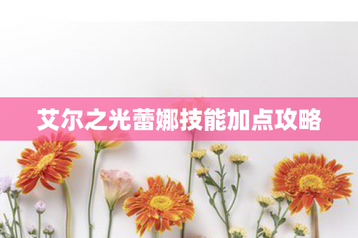 艾尔之光蕾娜技能加点攻略