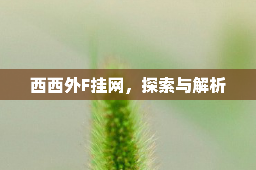 西西外F挂网，探索与解析