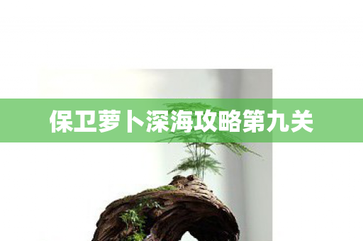 保卫萝卜深海攻略第九关