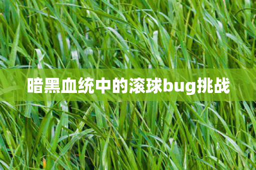 暗黑血统中的滚球bug挑战