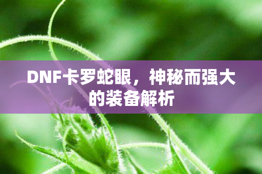 DNF卡罗蛇眼,神秘而强大的装备解析 DNF卡罗蛇眼,神秘而强大的装备解析