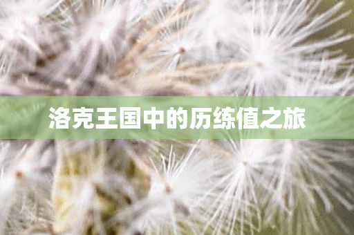 洛克王国中的历练值之旅