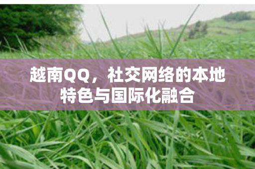 越南QQ，社交网络的本地特色与国际化融合