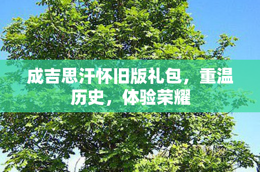 成吉思汗怀旧版礼包，重温历史，体验荣耀