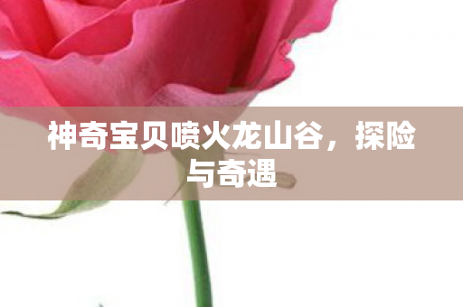 神奇宝贝喷火龙山谷，探险与奇遇