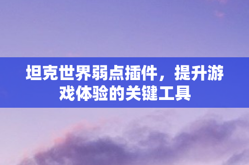 坦克世界弱点插件,提升游戏体验的关键工具 坦克世界弱点插件,提升游戏体验的关键工具