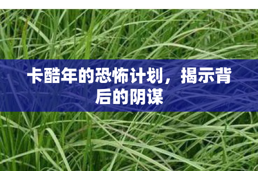 卡酷年的恐怖计划，揭示背后的阴谋
