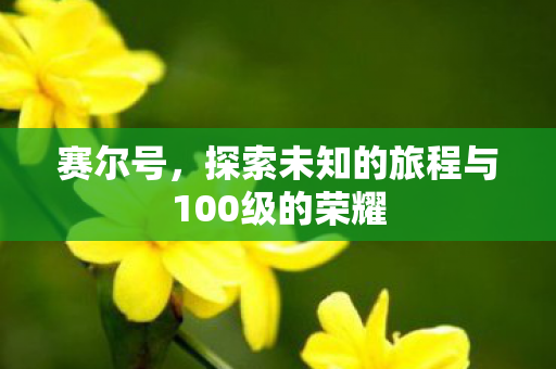 赛尔号，探索未知的旅程与100级的荣耀