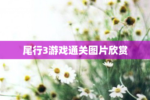 尾行3游戏通关图片欣赏