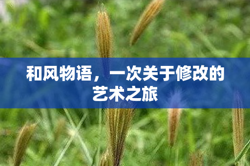 和风物语，一次关于修改的艺术之旅