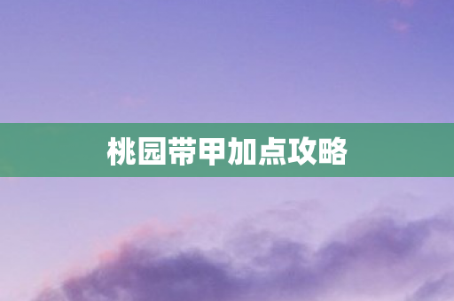 桃园带甲加点攻略