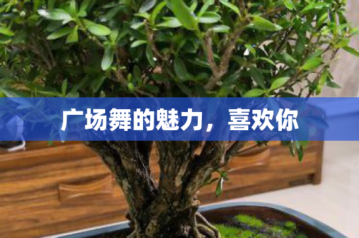 广场舞的魅力，喜欢你