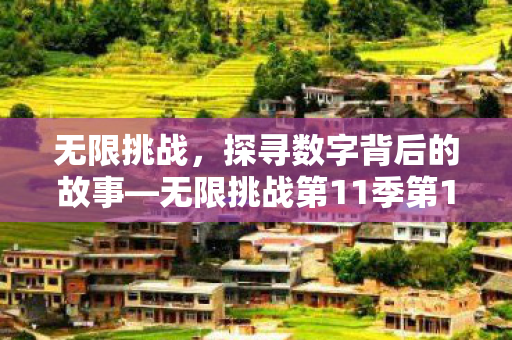 无限挑战，探寻数字背后的故事—无限挑战第11季第11集第12次挑战的独特魅力