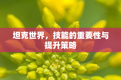 坦克世界,技能的重要性与提升策略 坦克世界,技能的重要性与提升策略