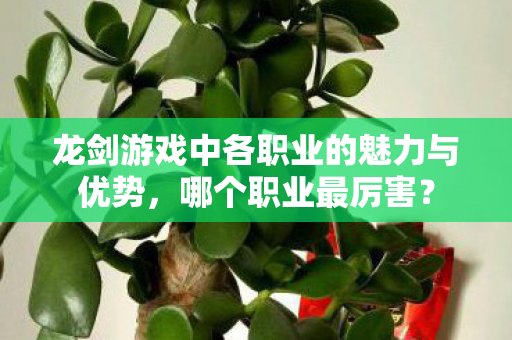 龙剑游戏中各职业的魅力与优势，哪个职业最厉害？