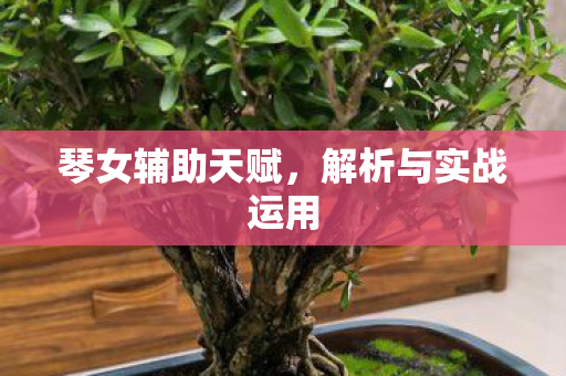 琴女辅助天赋，解析与实战运用