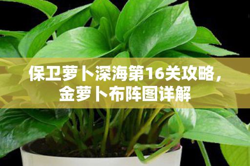 保卫萝卜深海第16关攻略，金萝卜布阵图详解