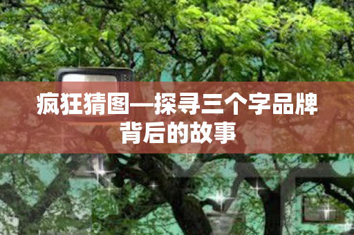 疯狂猜图—探寻三个字品牌背后的故事