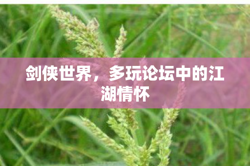 剑侠世界，多玩论坛中的江湖情怀