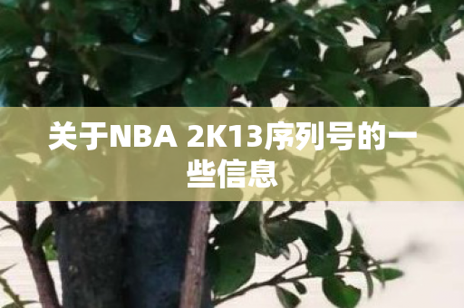 关于NBA 2K13序列号的一些信息