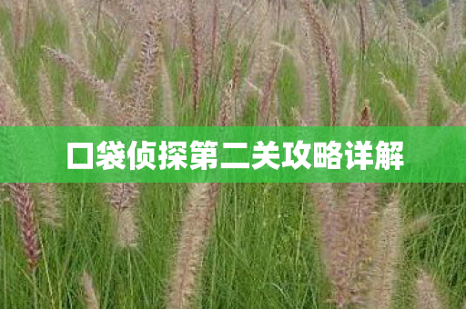 口袋侦探第二关攻略详解