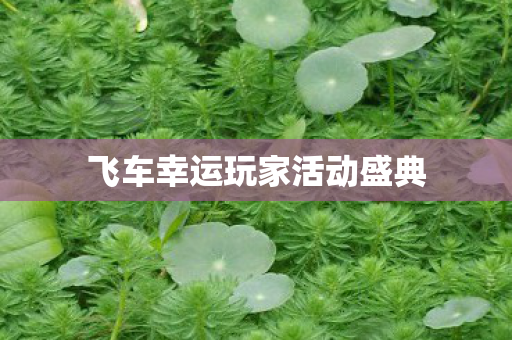 飞车幸运玩家活动盛典