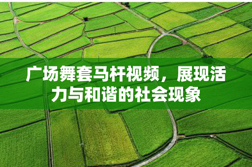 广场舞套马杆视频，展现活力与和谐的社会现象