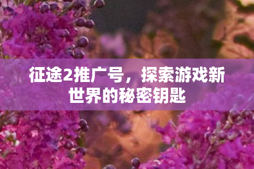 征途2推广号,探索游戏新世界的秘密钥匙 征途2推广号,探索游戏新世界的秘密钥匙