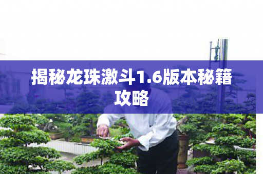 揭秘龙珠激斗1.6版本秘籍攻略 揭秘龙珠激斗1.6版本秘籍攻略