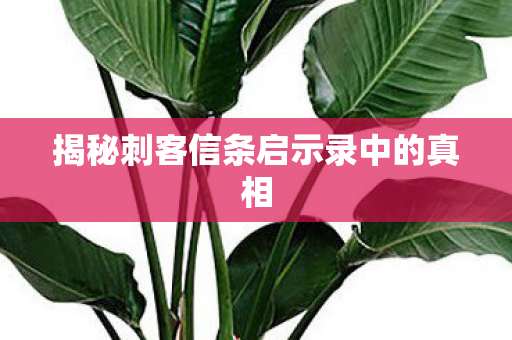 揭秘刺客信条启示录中的真相