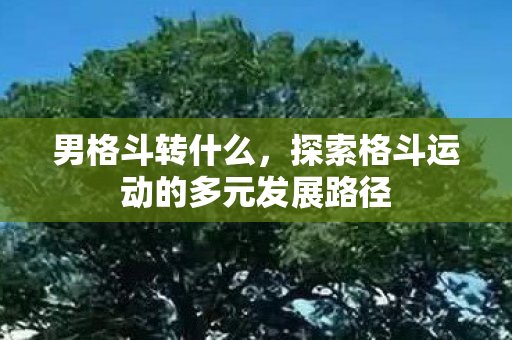 男格斗转什么，探索格斗运动的多元发展路径