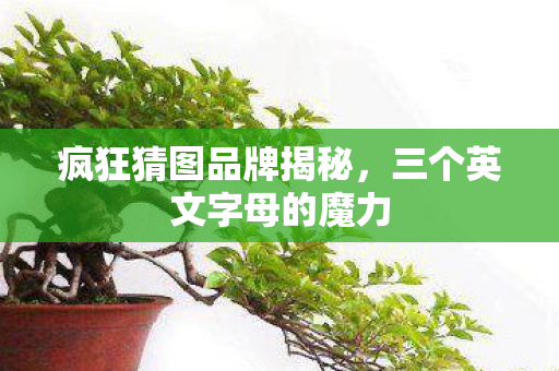 疯狂猜图品牌揭秘，三个英文字母的魔力
