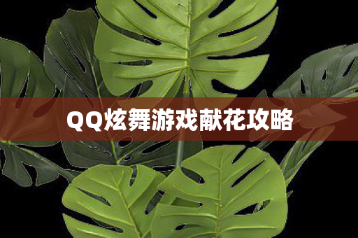 QQ炫舞游戏献花攻略