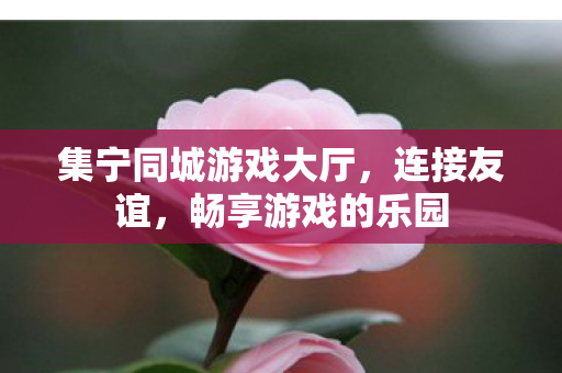 集宁同城游戏大厅，连接友谊，畅享游戏的乐园