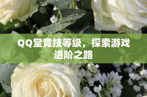 QQ堂竞技等级，探索游戏进阶之路